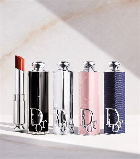 lip case dior|christian Dior lipstick case.